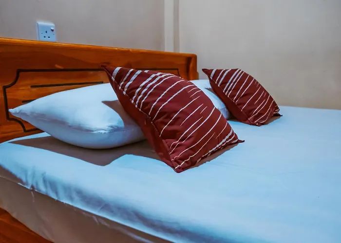 Viveka Inn Guest And Yala Safari