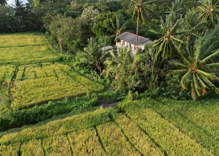 Viveka Inn Guest And Yala Safari
