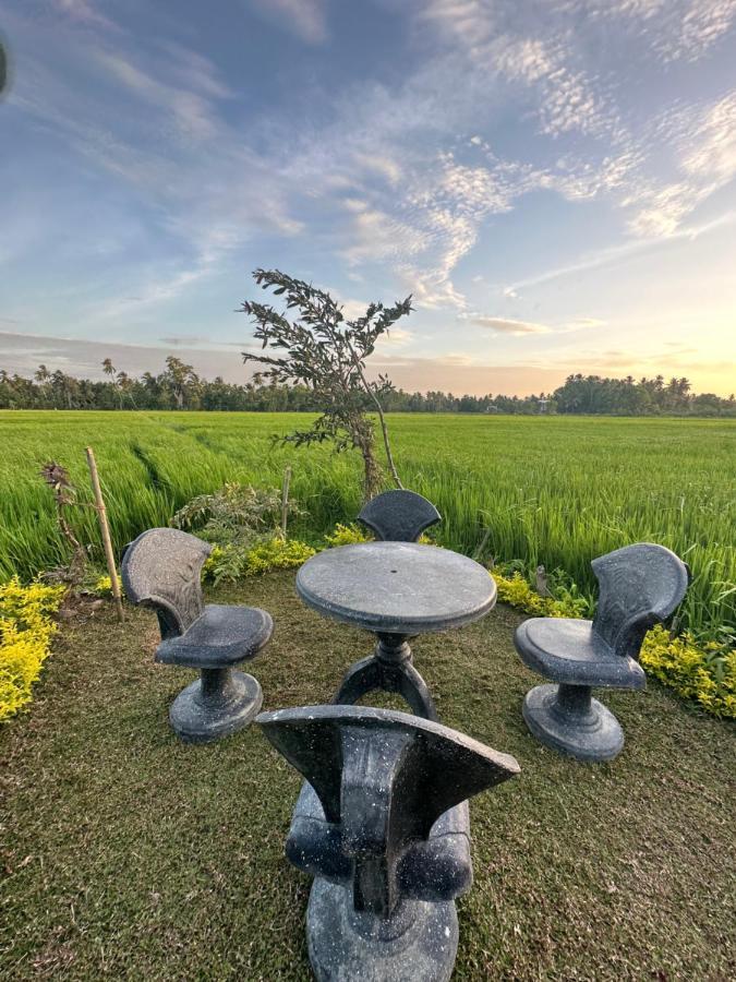 गेस्ट हाउस Viveka Guest And Yala Safari