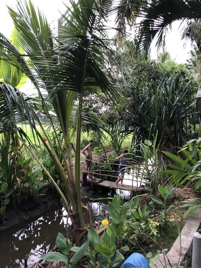 Viveka Guest And Yala Safari