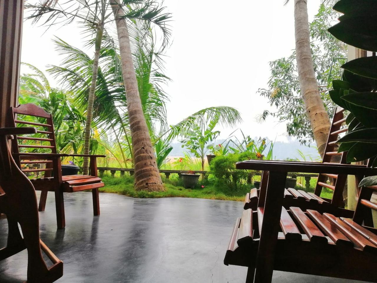 Viveka Guest And Yala Safari Tissamaharama