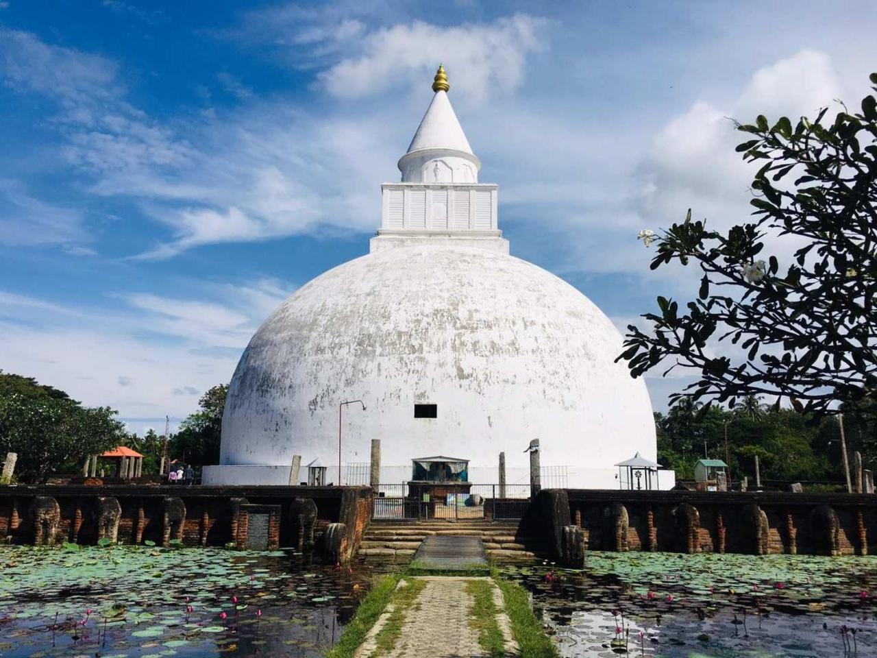 Viveka Guest And Yala Safari गेस्ट हाउस