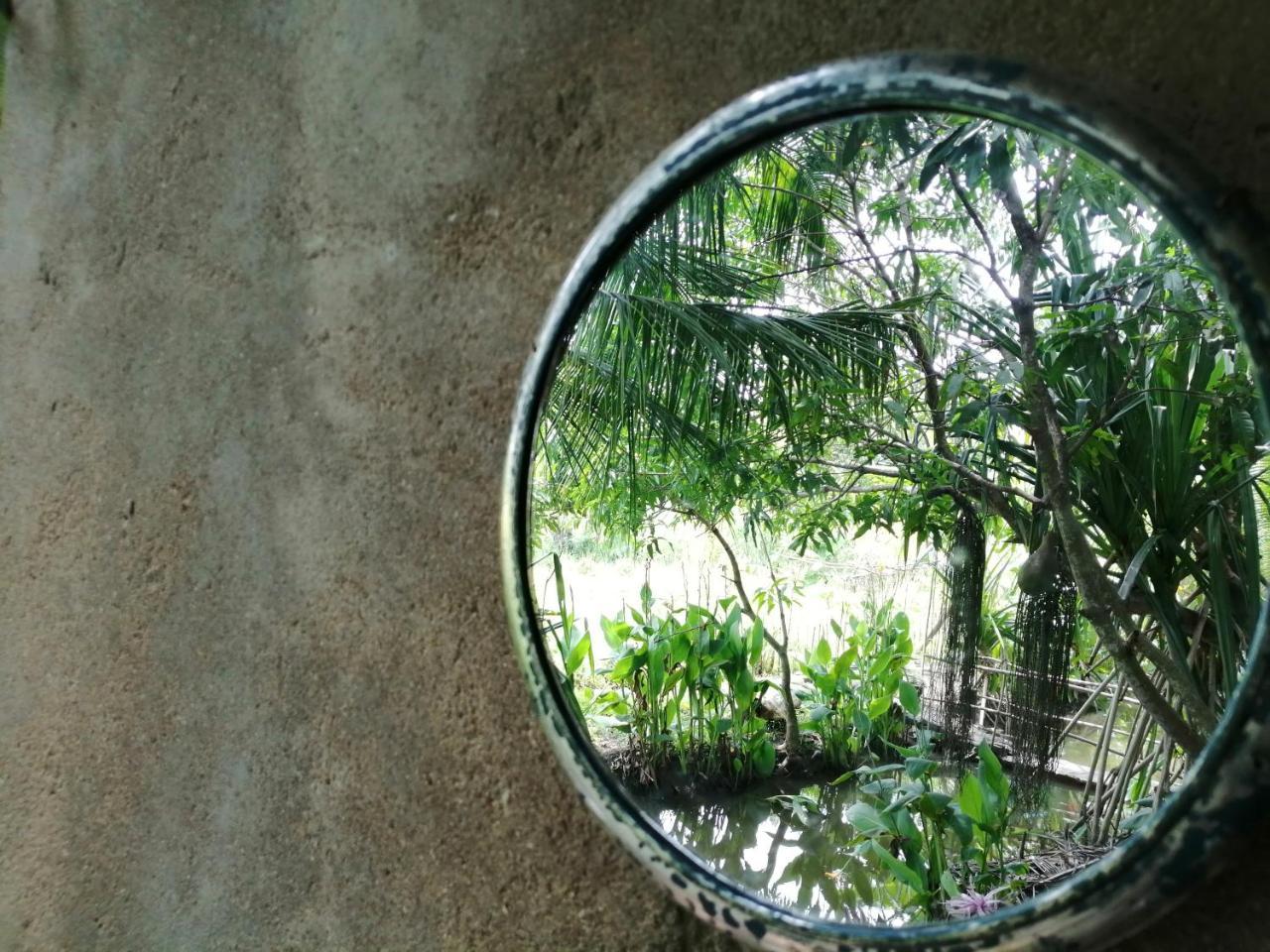 Viveka Guest And Yala Safari